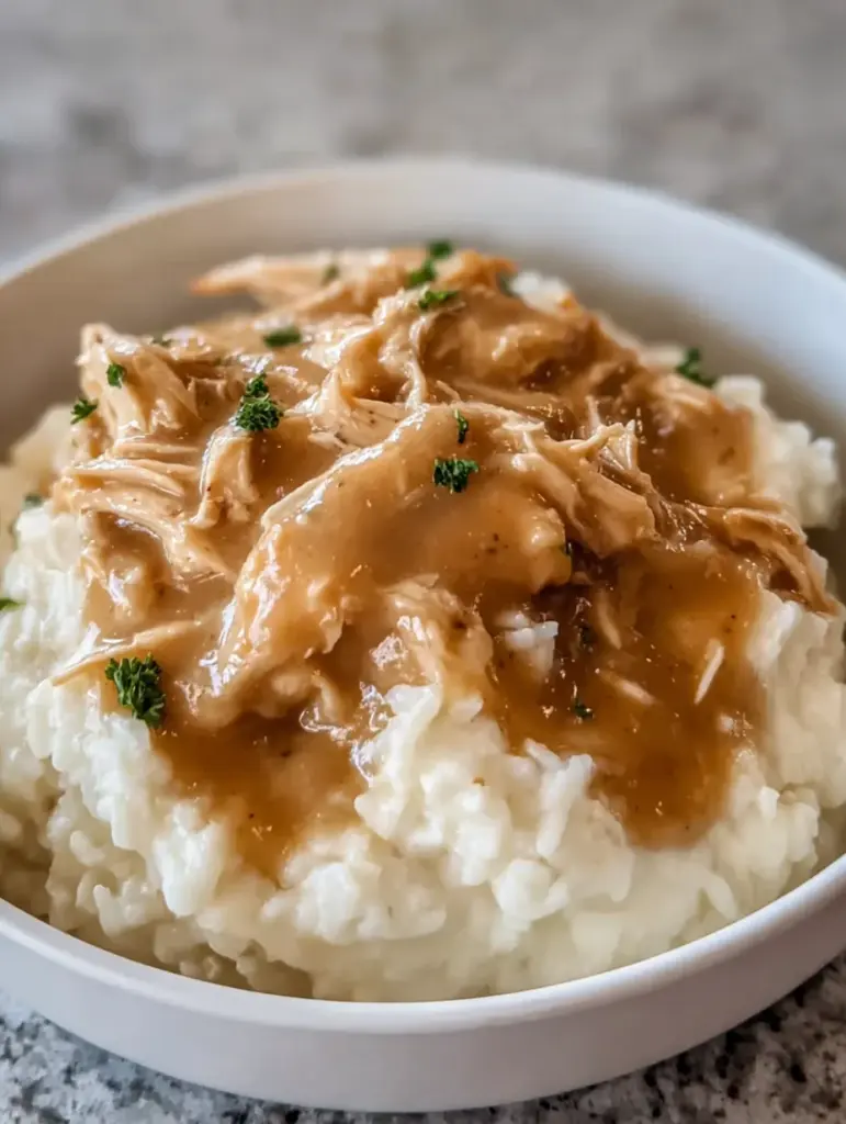 Slow Cooker Chicken and Gravy